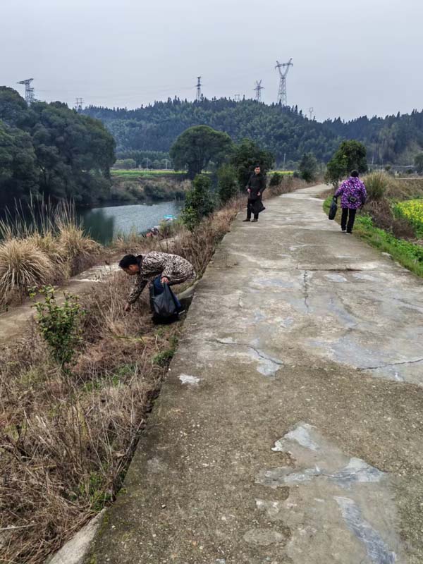 黎平县洪州镇：抓点控线扩面推进河道治理(图3)