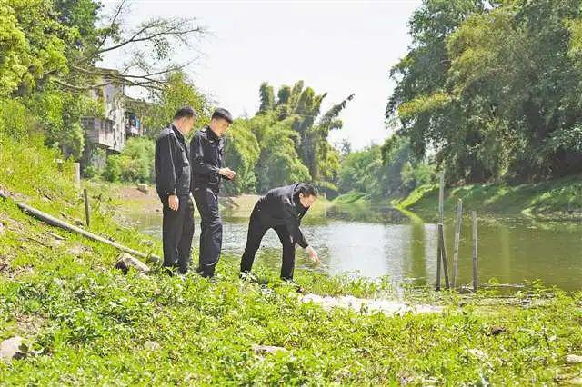 2024年度美丽重庆全媒体优秀传播案例｜向绿而行两代人的环保“接力跑”(图3)